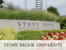 Stony Brook University
